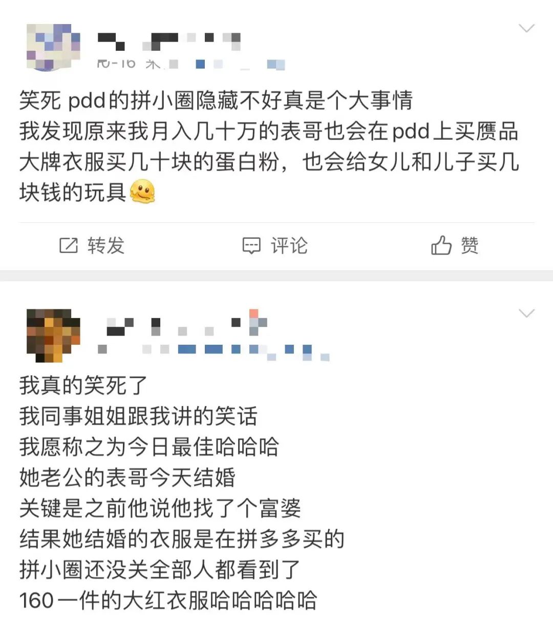 拼多多里正在长出一个老红书